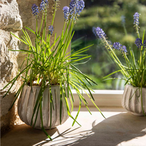 Garden Trading Osmington Large Pot